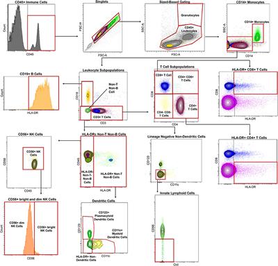 Extensive Healthy Donor Age/Gender Adjustments and Propensity Score Matching Reveal Physiology of Multiple Sclerosis Through Immunophenotyping